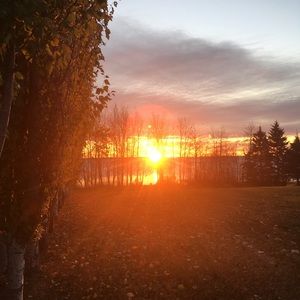 Meet your Posher, Nyah